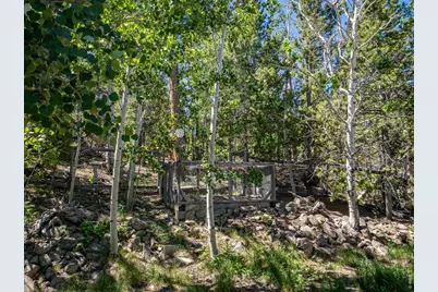 1847 Shoshoni Dr, Red Feather Lakes, CO 80545 - Photo 15
