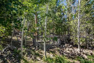1847 Shoshoni Dr, Red Feather Lakes, CO 80545 - Photo 15