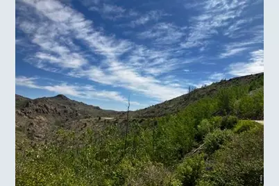 1820 County Road 87J, Jamestown, CO 80302 - Photo 29