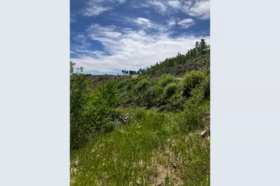 1820 County Road 87J, Jamestown, CO 80302 - Photo 17