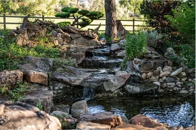 6644 Bird Cliff Way, Niwot, CO 80503 - Photo 49