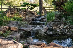 6644 Bird Cliff Way, Niwot, CO 80503 - Photo 49