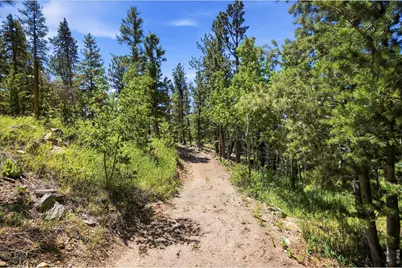 212 Elk Pl, Black Hawk, CO 80422 - Photo 41