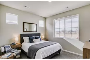617 Noola Street, Windsor, CO 80550 - Photo 23
