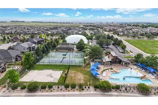 6236 Vernazza Way, Windsor, CO 80550 - Photo 49