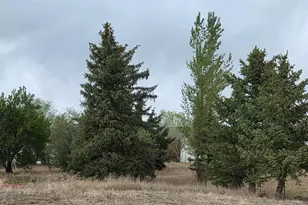 20219 Co Rd 3, Berthoud, CO 80513 - Photo 5