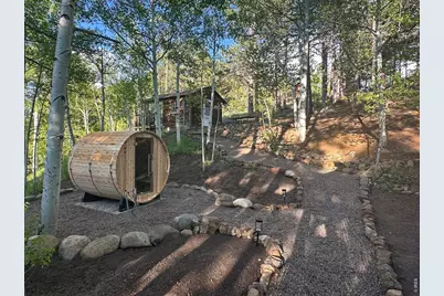 1087 Highway 7 Bus Rte, Allenspark, CO 80510 - Photo 37