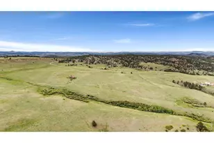 260 Coyote Holler Wy, Livermore, CO 80536 - Photo 47