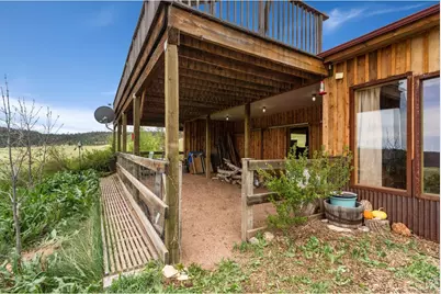 260 Coyote Holler Way, Livermore, CO 80536 - Photo 39