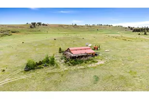 260 Coyote Holler Wy, Livermore, CO 80536 - Photo 3