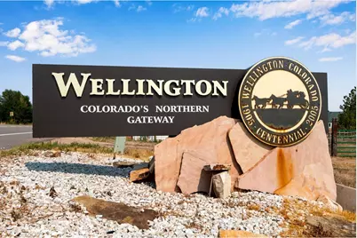 3754 Wilson Ave, Wellington, CO 80549 - Photo 35