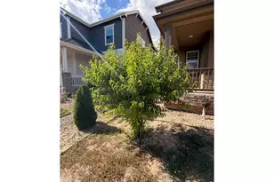 2326 Adobe Dr, Fort Collins, CO 80525 - Photo 37