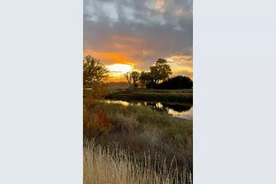 8451 Madison Way, Denver, CO 80229 - Photo 5