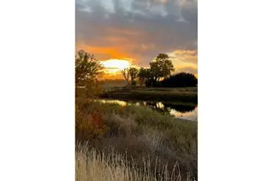 8451 Madison Way, Denver, CO 80229 - Photo 5