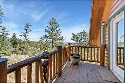 298 Mount Massive Dr, Livermore, CO 80536 - Photo 37