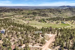 298 Mt Massive Dr, Livermore, CO 80536 - Photo 47