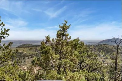 298 Mount Massive Dr, Livermore, CO 80536 - Photo 39