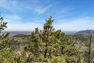 298 Mt Massive Dr, Livermore, CO 80536 - Photo 39
