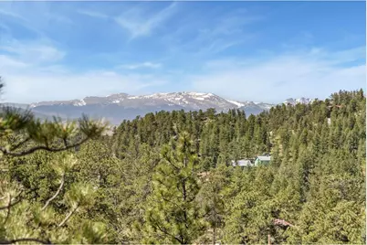 298 Mount Massive Dr, Livermore, CO 80536 - Photo 43