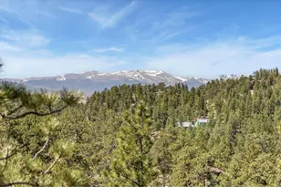 298 Mt Massive Dr, Livermore, CO 80536 - Photo 43