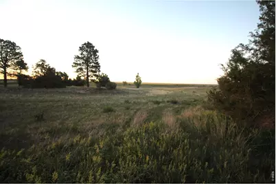 12224 County Road 79, Fleming, CO 80728 - Photo 43