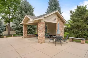 926 Hover Ridge Cir, Longmont, CO 80501 - Photo 29