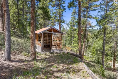 38 E Pine St, Nederland, CO 80466 - Photo 43
