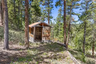 38 E Pine St, Nederland, CO 80466 - Photo 43