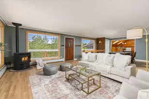 38 E Pine St, Nederland, CO 80466 - Photo 7
