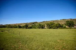 10050 Buckhorn Ridge Way, Loveland, CO 80538 - Photo 1