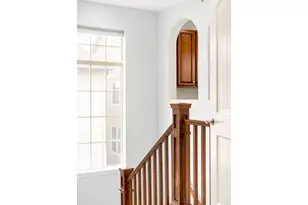 9135 E 29th Pl, Denver, CO 80238 - Photo 19