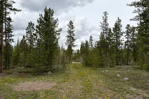 25 Aspen Dr, Walden, CO 80480 - Photo 37