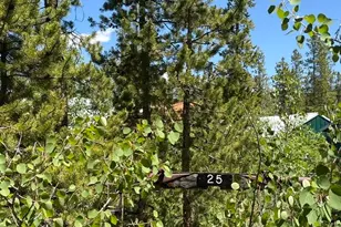25 Aspen Dr, Walden, CO 80480 - Photo 47