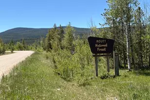 25 Aspen Dr, Walden, CO 80480 - Photo 41
