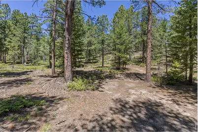 0 Magnolia Dr, Nederland, CO 80466 - Photo 5
