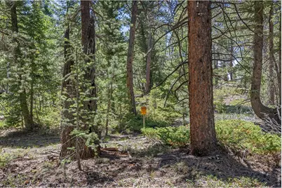 0 Magnolia Dr, Nederland, CO 80466 - Photo 7