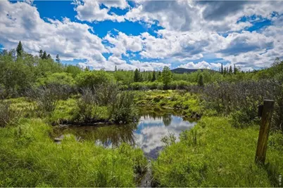 61 Tawakoni Ct, Red Feather Lakes, CO 80545 - Photo 39
