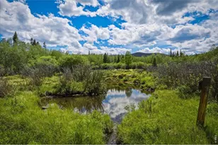 61 Tawakoni Ct, Red Feather Lakes, CO 80545 - Photo 39