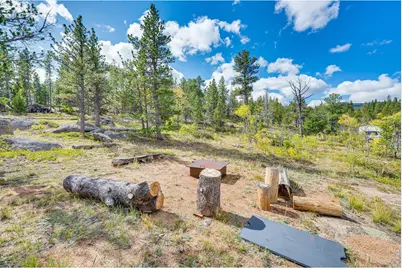 61 Tawakoni Ct, Red Feather Lakes, CO 80545 - Photo 33
