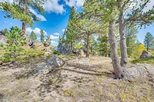 61 Tawakoni Ct, Red Feather Lakes, CO 80545 - Photo 35