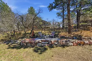 5822 Irish Pat Murphy Dr, Parker, CO 80134 - Photo 41