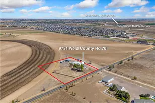 9731 County Road 70, Windsor, CO 80550 - Photo 5