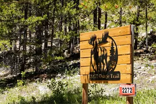2272 Osage Trail, Red Feather Lakes, CO 80545 - Photo 3