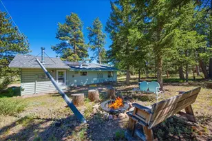 409 Shagwa Dr, Red Feather Lakes, CO 80545 - Photo 5
