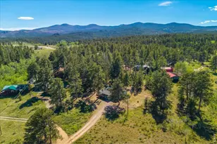 409 Shagwa Dr, Red Feather Lakes, CO 80545 - Photo 9