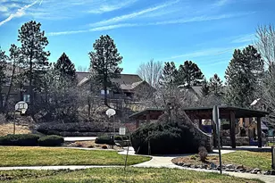 1505 Stonehill Ct, Castle Rock, CO 80104 - Photo 49