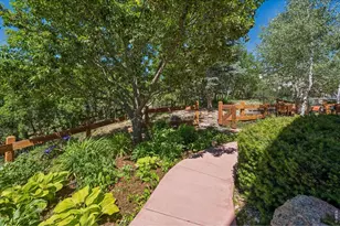 1505 Stonehill Ct, Castle Rock, CO 80104 - Photo 27
