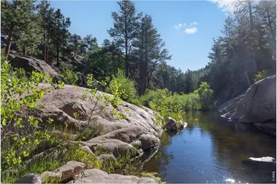 28 Ute Crossing Ct, Lyons, CO 80540 - Photo 3