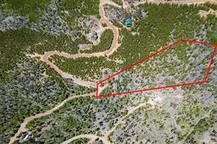 1598 Jicarilla Trail, Red Feather Lakes, CO 80545 - Photo 29