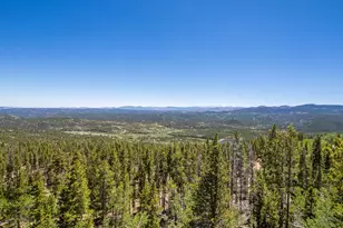 1598 Jicarilla Trail, Red Feather Lakes, CO 80545 - Photo 33